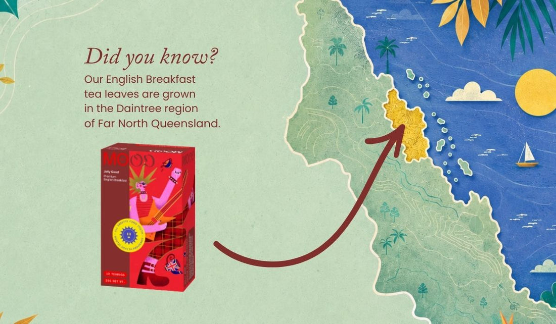 Is Tea Grown in Australia? The Real Answer