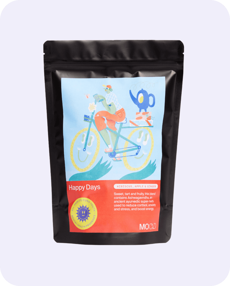 Hibiscus, apple and ginger herbal tea pouch by MOOD Tea